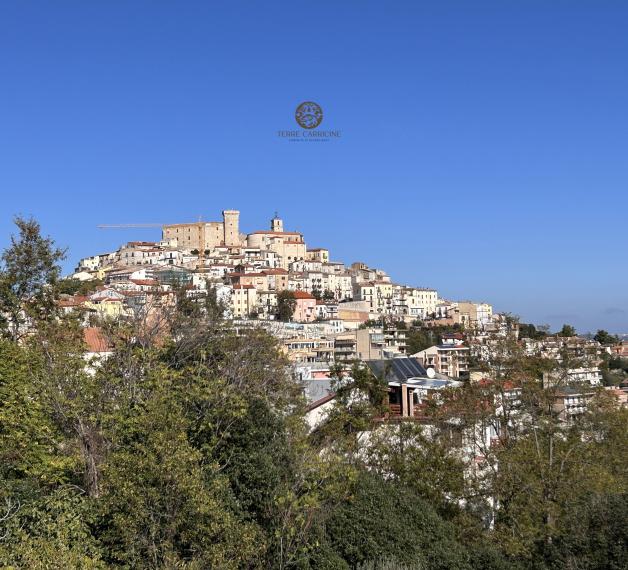 Panorama
