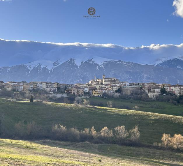 Panorama