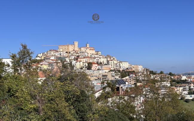 Panorama