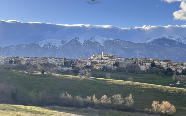 Panorama