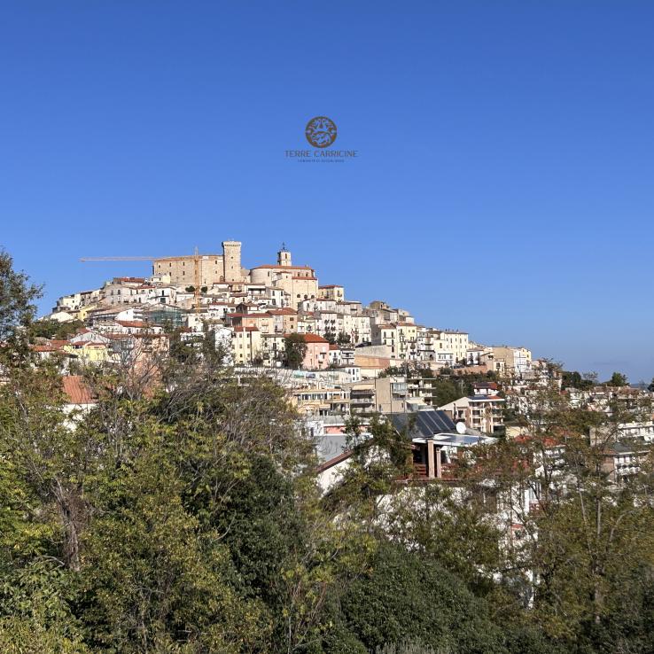 Panorama