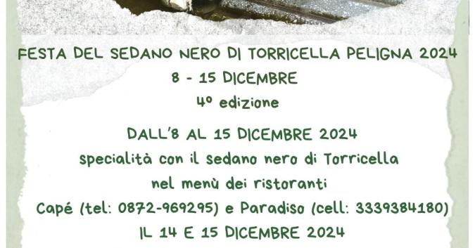 Edizione 2024