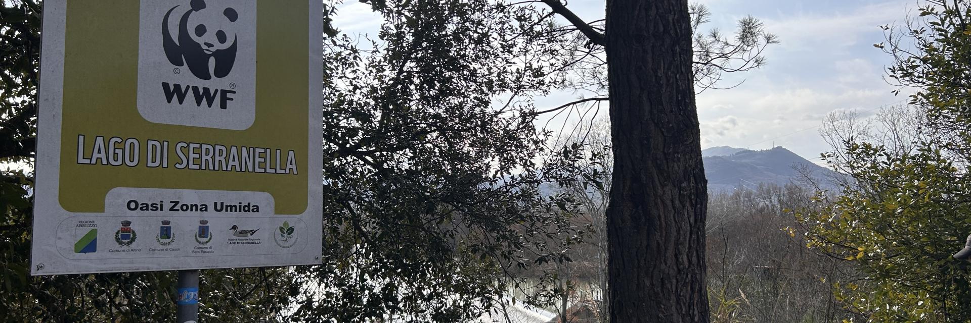 Panorama