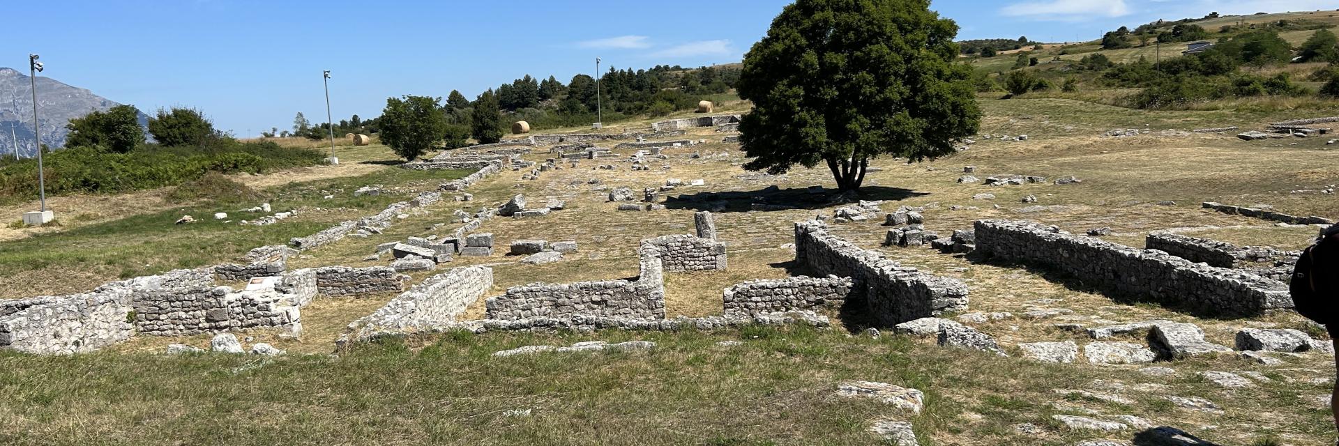 Panorama